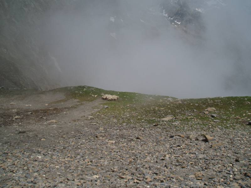 Youri - Ecrins 2005 372 